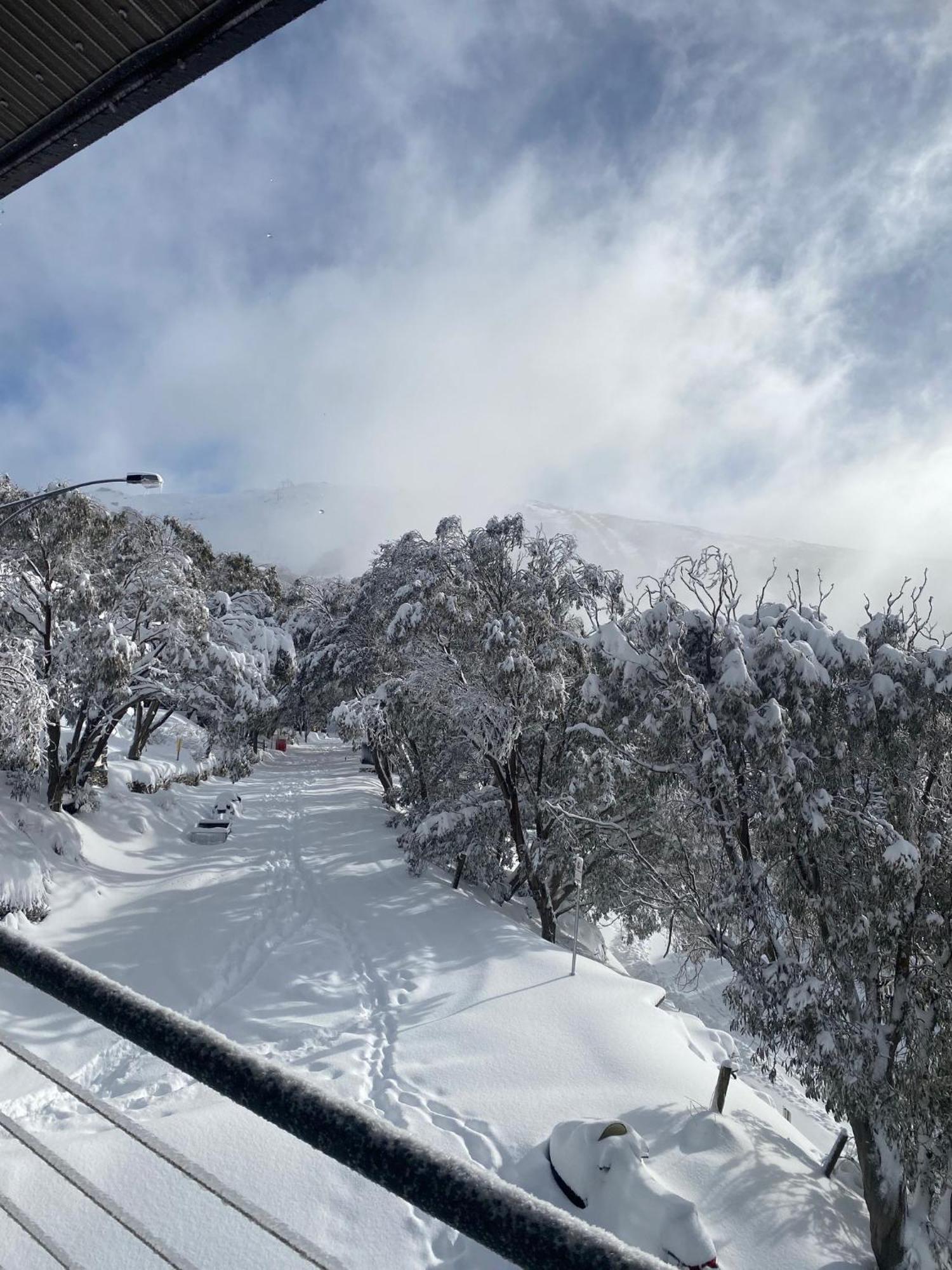 Alpine Woodsmoke Apartments フォールズ・クリーク エクステリア 写真